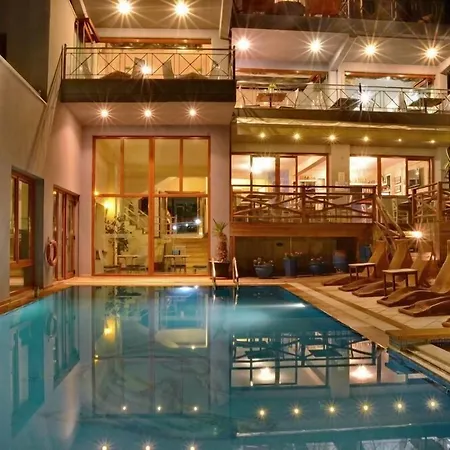 Aria 梅加利阿莫斯